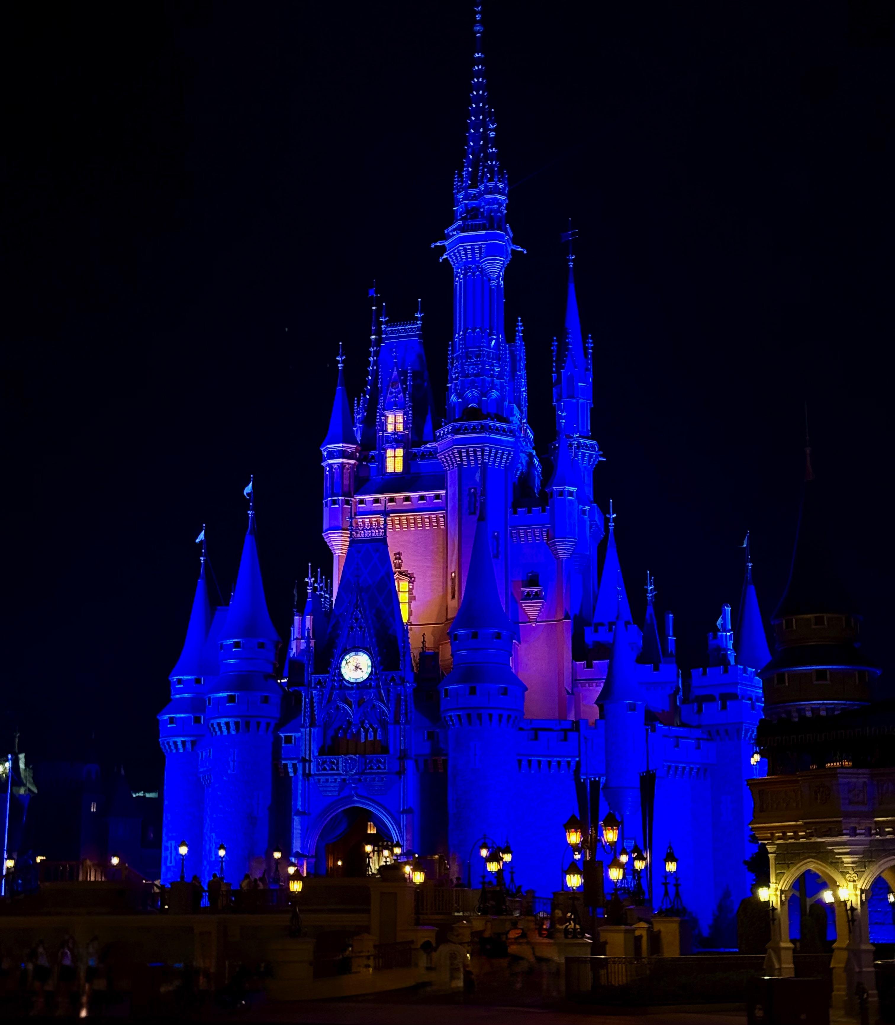 Cinderella Castle at Night
